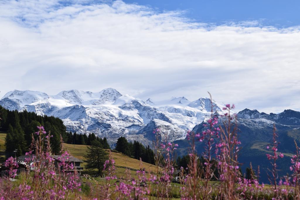 Le Rocher Hotel Champoluc Esterno foto